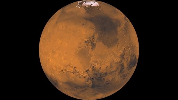Грибы на Марсе? 5 недоказанных утверждений о существовании инопланетной жизни